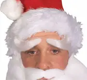 Santa Claus Saint Nicholas Kris Kringle Father Christmas Mens Costume Eyebrows