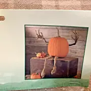 Plow & Hearth Posable Halloween Pumpkin Vine Arms Legs Set # 65A44 SEALED