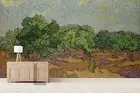 3D Olive Grove Wallpaper Wall Mural Removable Self-adhesive 82