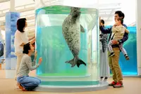 在飛比找雄獅旅遊優惠-京都水族館 入場券