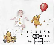 The Bear Baby Stuff, Honey Baby Monthly Milestone Blanket for Newborn Boy & Girl Photo Taken - Age Blanket with 2 Frame