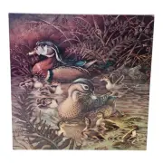 Springbok 500pcs Jigsaw Puzzle #2109 "Family Outing" Ducks Duckling Art Nature