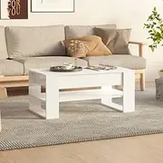 Coffee Table High Gloss White 102x55x45 cm Engineered Wood,Premium Engineered Wood Coffee Table with Ample Storage and Glossy White Finish for Living Room and Home Decor Accent Furniture, Accent Coffe