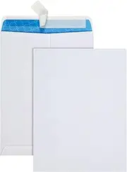 Quality Park 9 x 12 Inch Security Redi-Strip Envelopes, 28 lb. White Wove, Treated Envelope, 100/Box (QUA41415R)