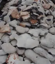 3 Pounds Of High Quality Georgetown Flint ( Whole Rock ) Flint Knapping