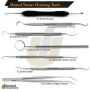 Dentist Teeth Tartar Calculus Remover Tools Set Hygienist Health Care Dog Pet