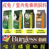 在飛比找蝦皮購物優惠-⚡現貨可快速出貨⚡Burgess 伯爵 Excel 成兔/室