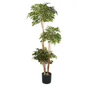 [Florabelle Living] Ficus Tree 180cm