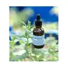 Korean Low Molecular Hyaluronic Acid Moisturizing Ampoule 26g Unscented/ Vegan