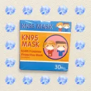 Children's Size Masks 30 Pack KN95 Particulate Safety Mask
