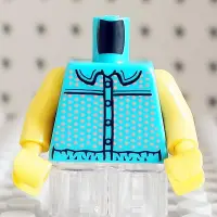 在飛比找露天拍賣優惠-LEGO 樂高 973pb4435c01人仔身體 藍綠色上衣