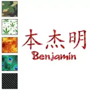 Chinese Benjamin Name, Vinyl Decal Sticker, 40 Patterns & 3 Sizes, #2151