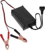 Lithium Battery Charger 12v Battery Maintainer for Electric Sprayer Sprayer Battery Charger