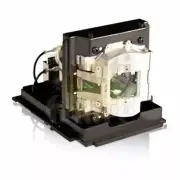 Original bulb inside Projector Lamp Module for INFOCUS SP-LAMP-068