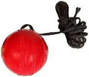 Ceela Sports Poly Hard Cricket Hanging Ball for Practice and Bat Knocking with Rope