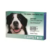 Capstar Large Dog Flea Treatment