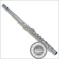 在飛比找蝦皮購物優惠-【展韻音樂】Altus  AFL 1107REO Flute