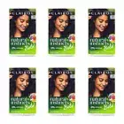 6x Clairol Permanent Hair Colour Dye Natural Instincts Bold V26 Violet Shade