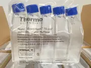 50/PK Thermo Fisher Scientific 156472 Nunc EasYFlask 75 cm² Cell Culture Flasks