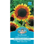 Mr Fothergill's Sunflower Golden Prominence Flower Seeds