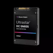 Hitachi 7.68TB UltraStar DC SN655 U.3 0TS2462