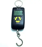 JSEIAJB 45kg Luggage Hanging Scale Digital Weighting Fishing Scale Hook Fish Weight Mini Pocket LCD Hanging Electronic Scale