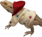 Bearded Dragon Clothes - Cotton Lizard Hoodies Sweater,Lizard Accessories Skin Protection