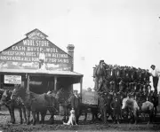 Yarrawonga Victoria 1904 - A wagon load of 524 hares after a hare - Old Photo