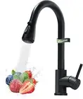 Black Kitchen Faucet with Pull down Sprayer, Industrial Commercial Stainless St