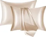 NOLRDR Mulberry Silk Pillowcase 2 Pack for Hair and Skin with Hidden Zipper,Both Sides 19 Momme Smooth and Breathable Silk Pillow Cases Set of 2 (Beige, Standard 20''×26'')