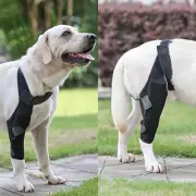 Dog Knee Brace Dog Leg Brace for Torn acl Leg Dog Hip Support Medium Black