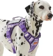 AUNZO Service Dog Vest Harness with 2 Velcro Patches, No Pull Dog Harness for Walking Training Hiking, Metal D-Rings Easy on/Off Neck Buckle Reflective Strips Soft Padded Handle, Purple