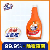 在飛比找PChome24h購物優惠-威猛先生 去霉劑補充瓶500g