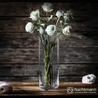 在飛比找PChome24h購物優惠-【Nachtmann】簡約時尚款-晶漾花瓶-style30c