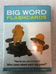 Big Word Flashcard for Kids age +6