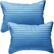 kinder Fluff Kids Pillows for Bed (2X) - The Only Toddler Pillow 300T Cotton Shell & Down Alternative Fill - Travel Pillow for Kids 4+ Bedding Set Sleeping Pillow Floor Bed Pillows (35x50cm - Blue)