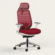 Recess Ergo Pro 2.0 | Ergonomic Chair | Mesh Office Chair | Sustainable Office Furniture, Red Earth / Headrest