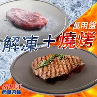 在飛比找momo購物網優惠-【SILWA 西華】節能冰霸極速解凍+燒烤兩用盤(台灣製造)