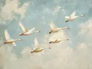 [Namly Design] Poster - Flock of Geese