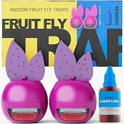 UV Fruit Fly Traps for Indoors + Sticky Traps 2pk- Fruit Fly Traps Indoor for Home - Fruit Fly Trap & Gnat Traps for House Indoor - Fly Killer - Gnat Catcher