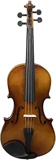 Beginner Basswood Violin - Student Practice Set with Case and Accessories (12 Natural Color)