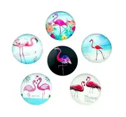 6 Tropical Beach Flamingo Art 25mm Domed Round Glass Flatback Tile Cabochons