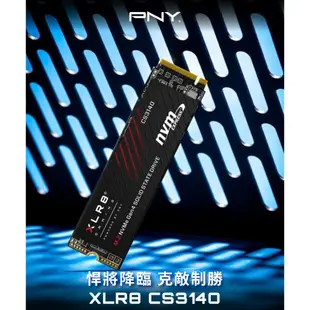 [龍龍3C] 必恩威 PNY XLR8 M.2 1T 1TB PCIE Gen4x4 SSD 固態硬碟 CS3140