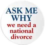 Ask Me Why We Need A National Divorce - 10 Pack Circle Stickers 3 Inch