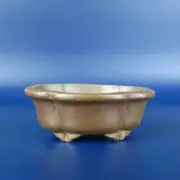 Japanese bonsai pot TOKONAME SHIBAKATSU Oval shape W7.5cm H3cm Unglazed