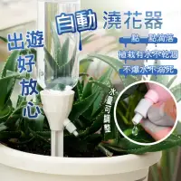 在飛比找momo購物網優惠-【FANCY LIFE】自動澆花器(澆水 澆花 自動澆水器 