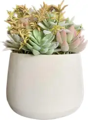 Artificial Succulents Plants, Assorted Green Faux Succulents in Pots, Succule...