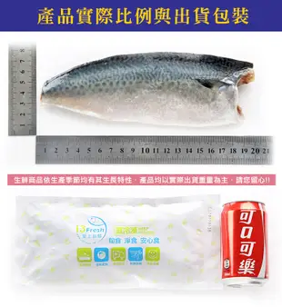【愛上新鮮】南方澳鮮撈無鹽鯖魚(2片裝/220g±10%/包) 生鮮/新鮮/鯖魚/魚類/omega (5折)