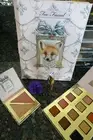 Too faced Enchanted beauty foxy neutrals limited edition makeup collection