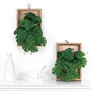 Artificial Monstera Plant in Frame, Green Leaves, Artificial Flowers, 2 Pieces per Box